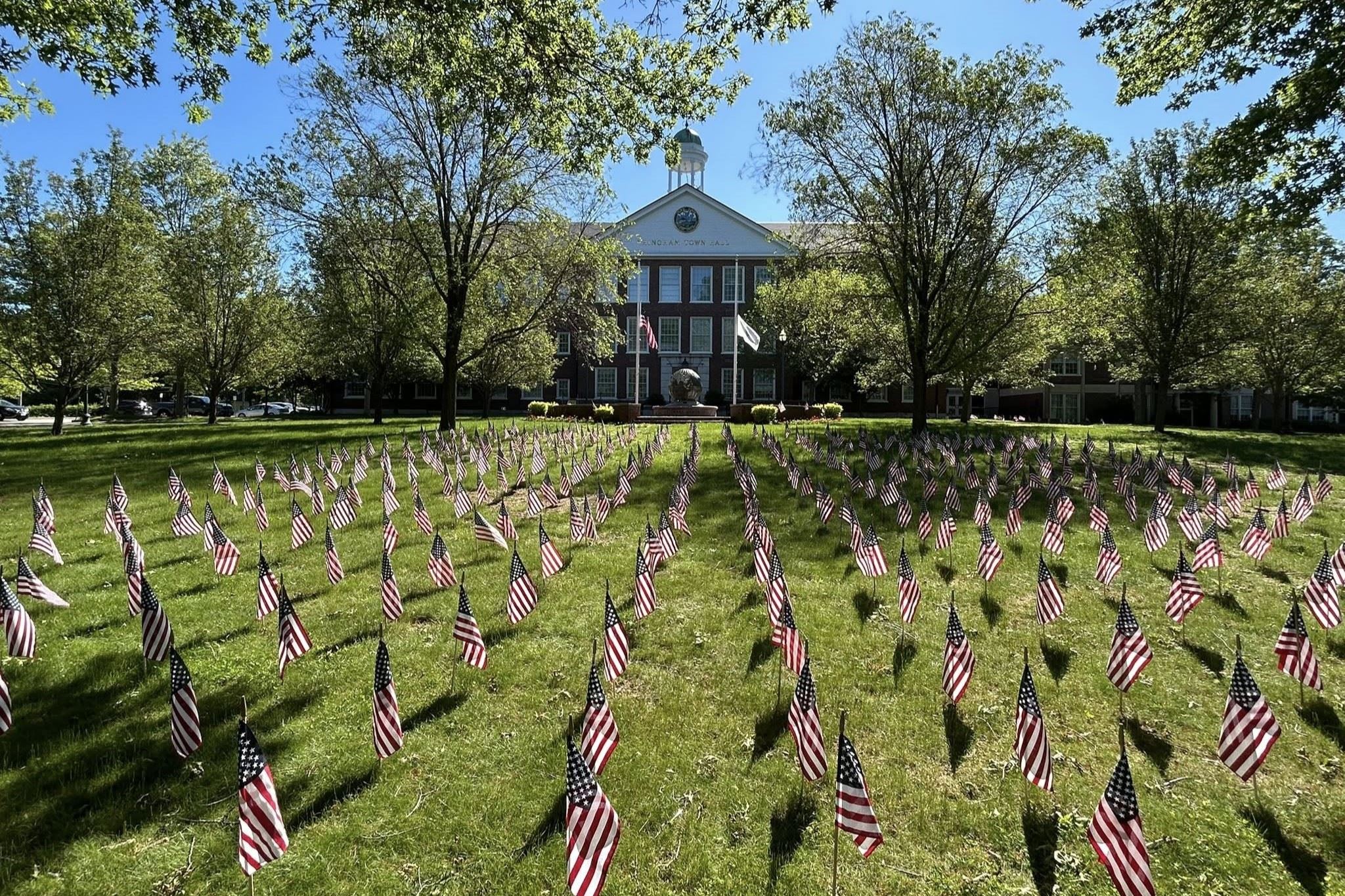 Flags on Town Hall Lawn